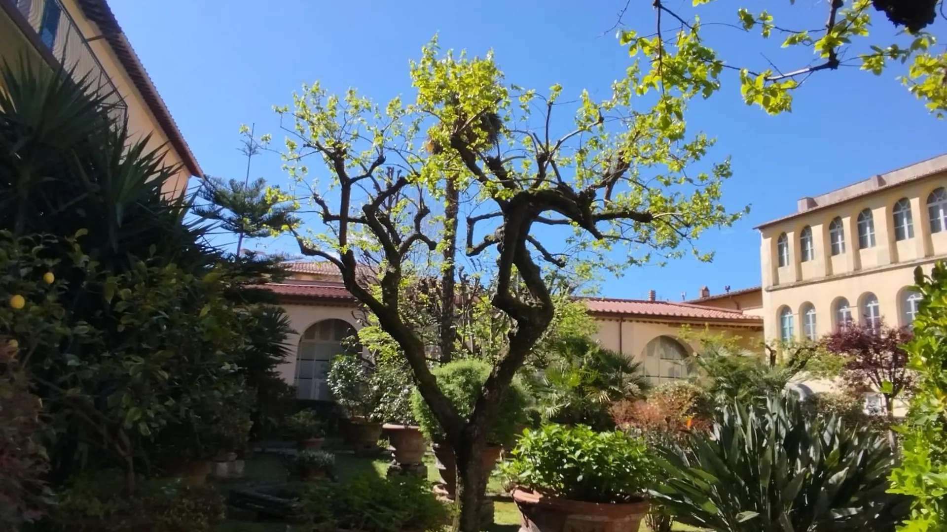 Bed and Breakfast Casa Per Ferie Religiosa Figlie Di Nazareth Пиза Италия