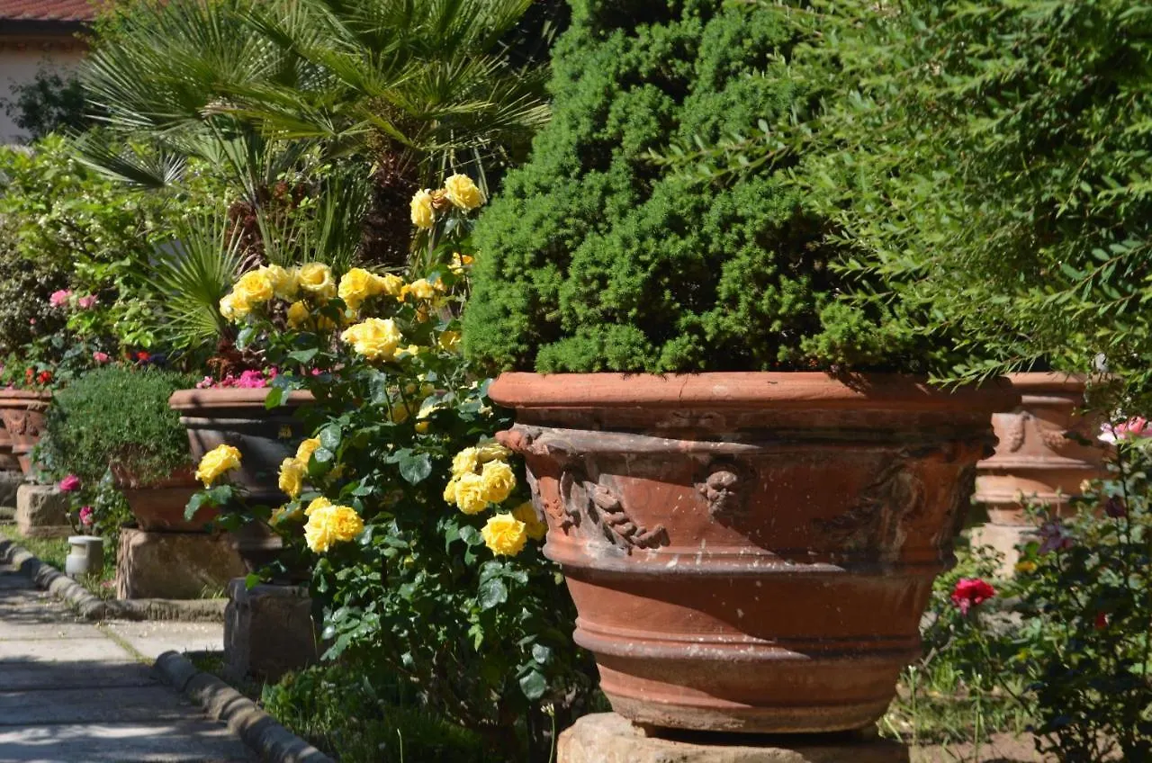 Bed & Breakfast Casa Per Ferie Religiosa Figlie Di Nazareth Bed and Breakfast Pisa